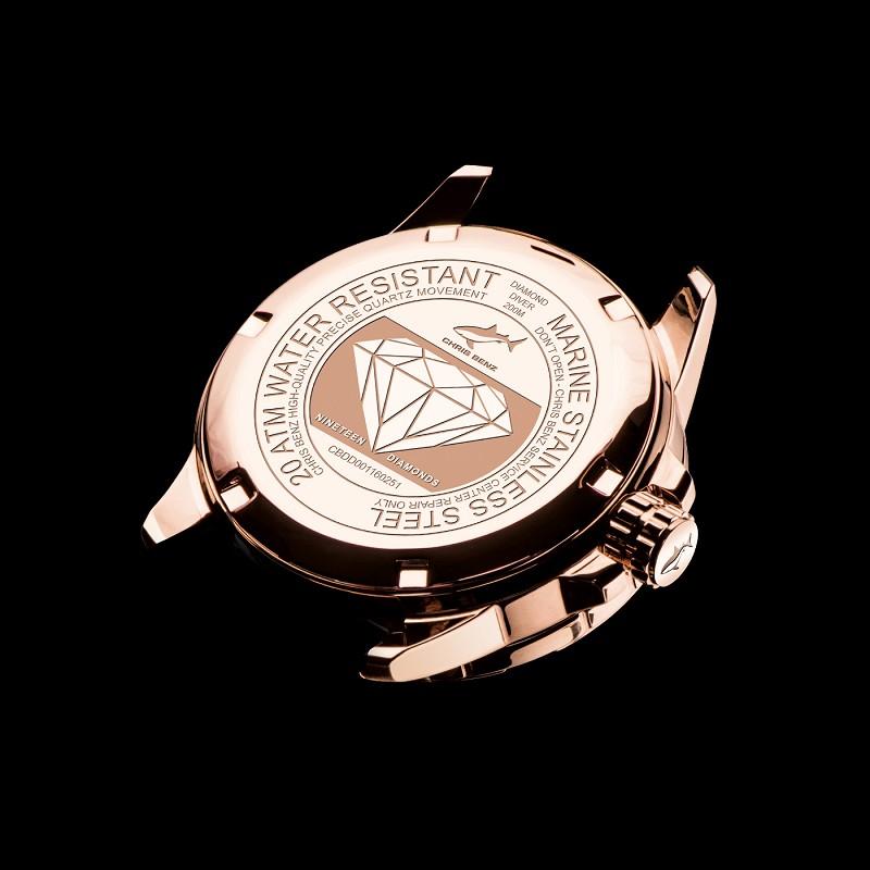 CHRIS BENZ DIAMOND DIVER Gold Rock Beach