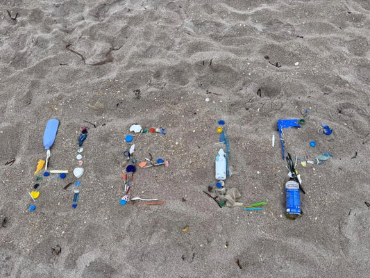 BEACH CLEAN UP