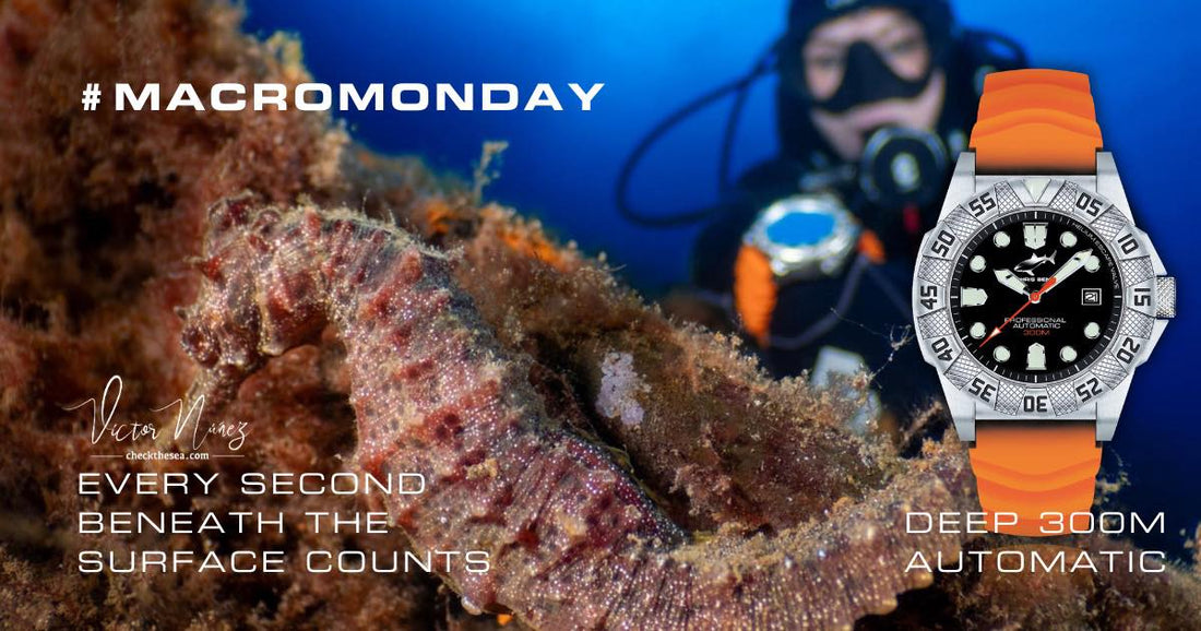 Every second beneath the surface counts!